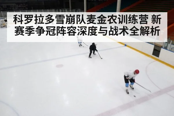 科罗拉多雪崩队麦金农训练营 新赛季争冠阵容深度与战术全解析
